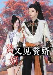 赘婿又见赘婿 第26集