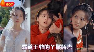 霸道王爷的丫鬟娇妻 第01集