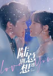 陆总别想逃 第51集