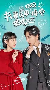 夫妻马甲双双掉完把家还 第01集