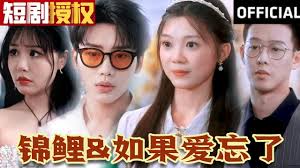 锦鲤 如果爱忘了 全集(大结局)