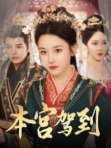本宫驾到 第01-30集