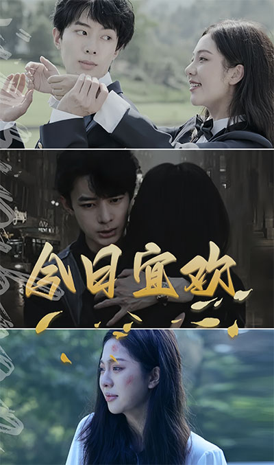 今日宜欢 全集(大结局)