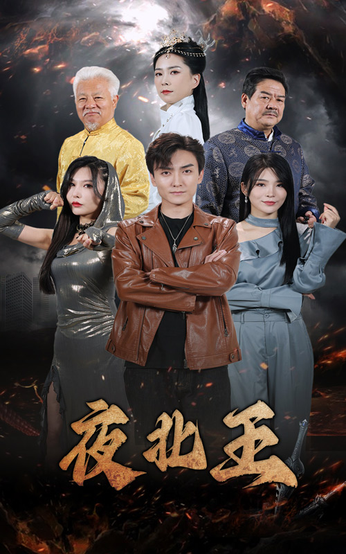 夜北王 全集(大结局)