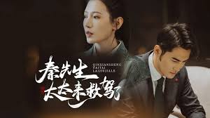 秦先生，太太来救驾了 全集 (上)(大结局)