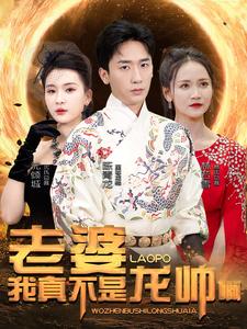 老婆我真不是龙帅啊 全集 (上)