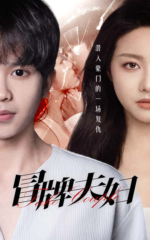 冒牌夫妇 全集(大结局)