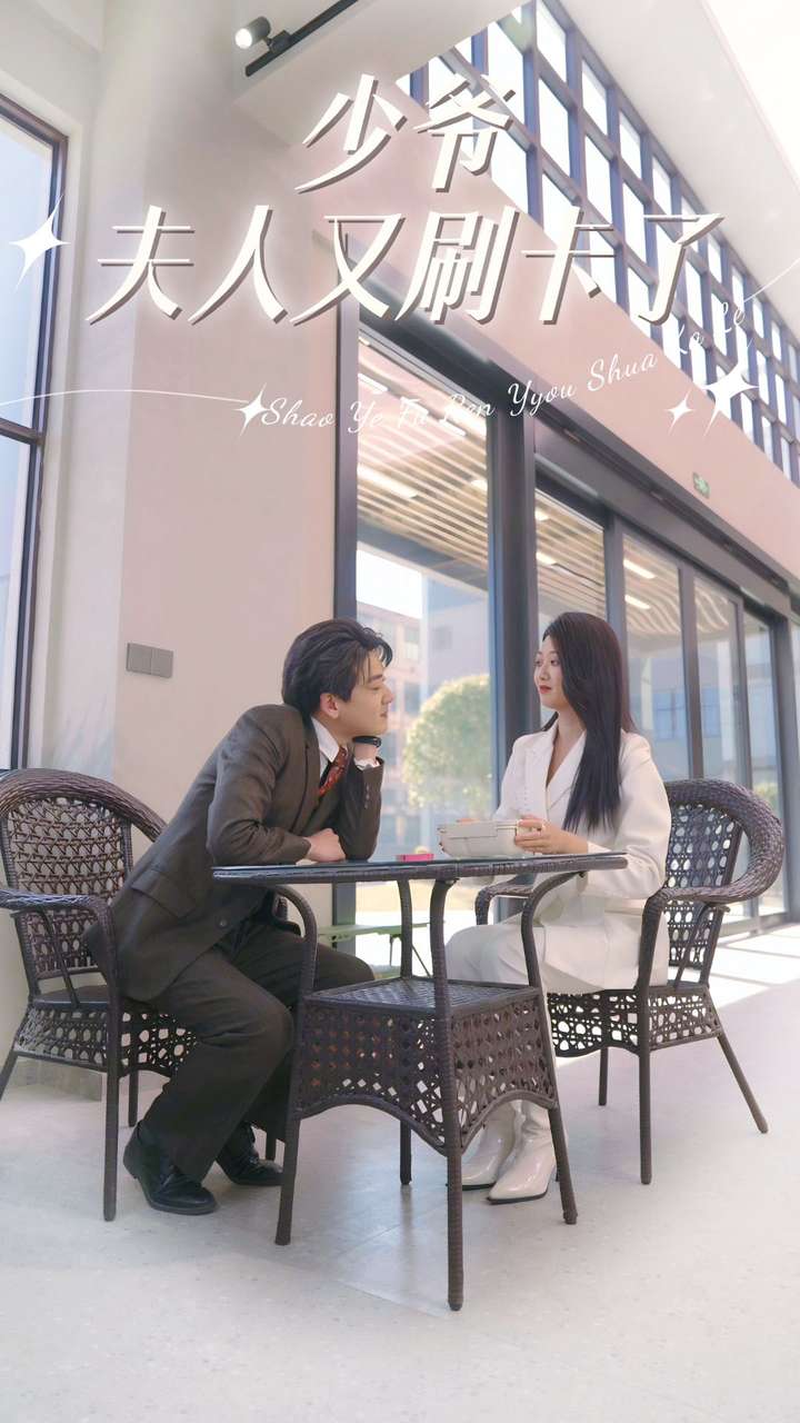 少爷夫人又刷卡了 全集(大结局)