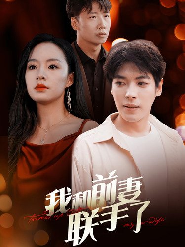 我和前妻联手了 第01集