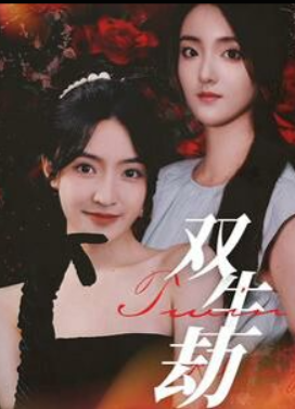 双生劫短剧 全集(大结局)