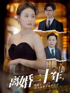 离婚二十年，我成了前夫高攀不起的存在 全集(大结局)
