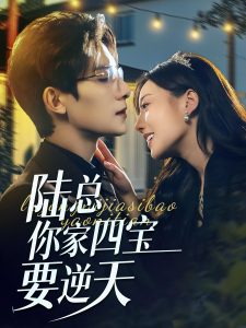陆总你家四宝要逆天 第01集