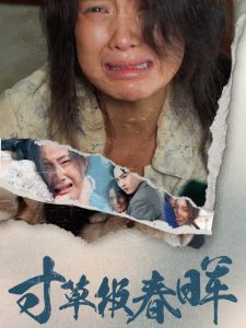 寸草报春晖 第01-30集