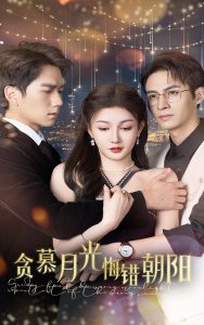 贪慕月光悔错朝阳 第01-20集