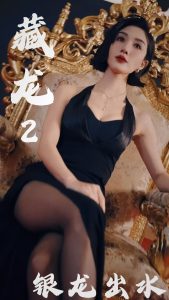 藏龙2银龙出水 第01-35集(大结局)